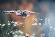 kalender 2025